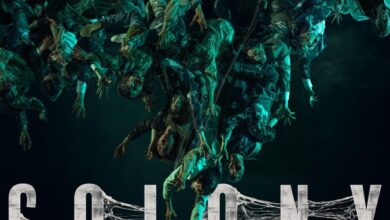 Colony